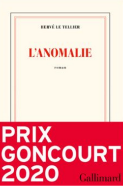 ROMAN FICTION - L'anomalie