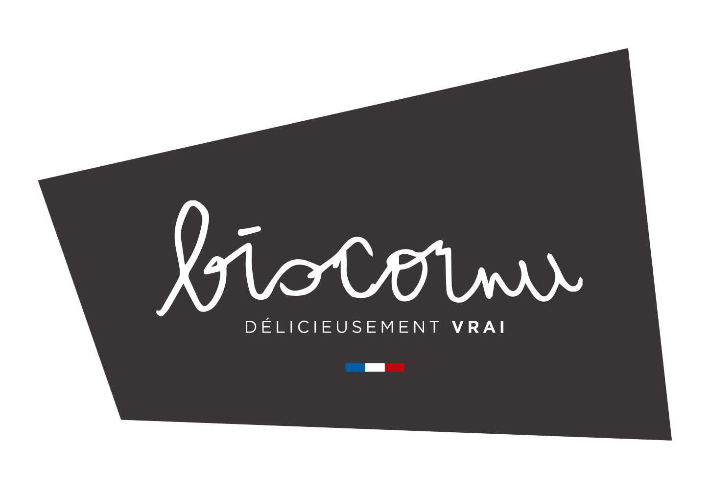 logo Biscornu pour INPI